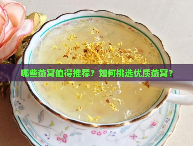 哪些燕窝值得推荐？如何挑选优质燕窝？