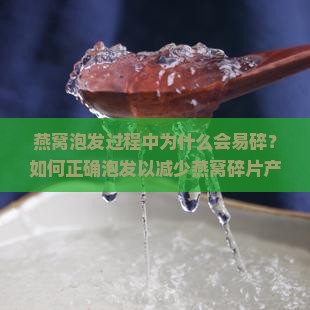 燕窝泡发过程中为什么会易碎？如何正确泡发以减少燕窝碎片产生？