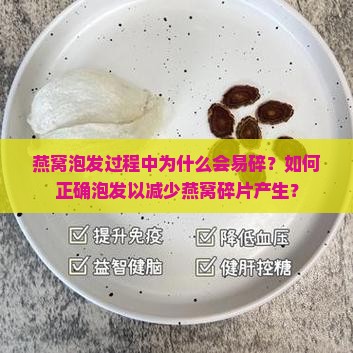 燕窝泡发过程中为什么会易碎？如何正确泡发以减少燕窝碎片产生？