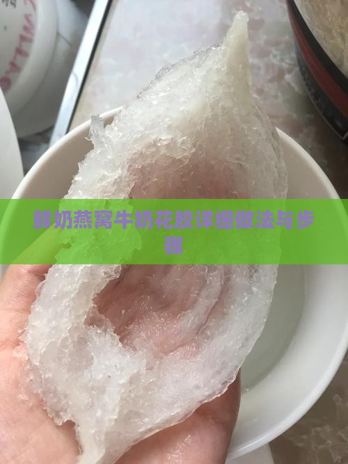 鲜奶燕窝牛奶花胶详细做法与步骤