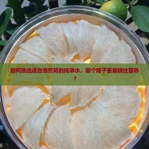 如何挑选适合泡燕窝的纯净水，哪个牌子更能锁住营养？
