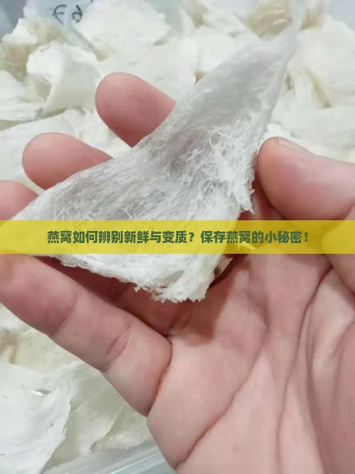 燕窝如何辨别新鲜与变质？保存燕窝的小秘密！