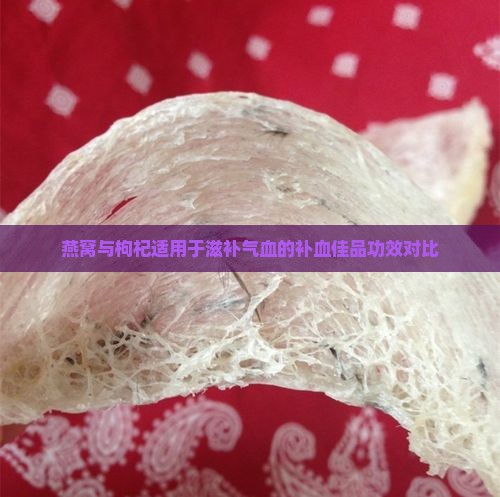 燕窝与枸杞适用于滋补气血的补血佳品功效对比