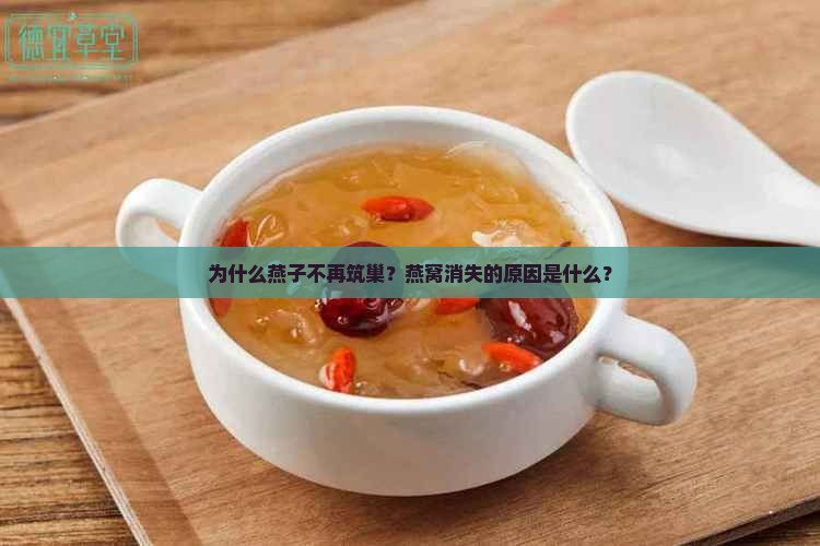 为什么燕子不再筑巢？燕窝消失的原因是什么？
