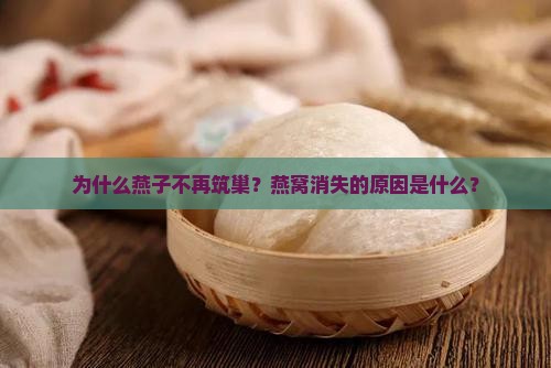 为什么燕子不再筑巢？燕窝消失的原因是什么？