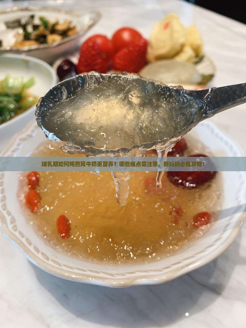 哺乳期如何炖燕窝牛奶更营养？哪些痛点需注意，新妈妈必备攻略！