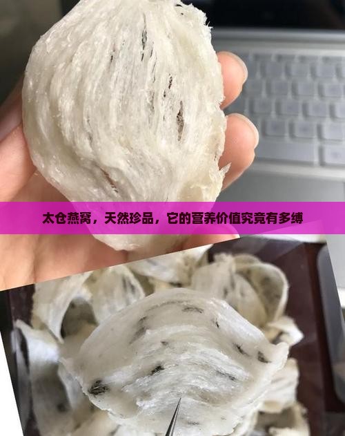 太仓燕窝，天然珍品，它的营养价值究竟有多缚