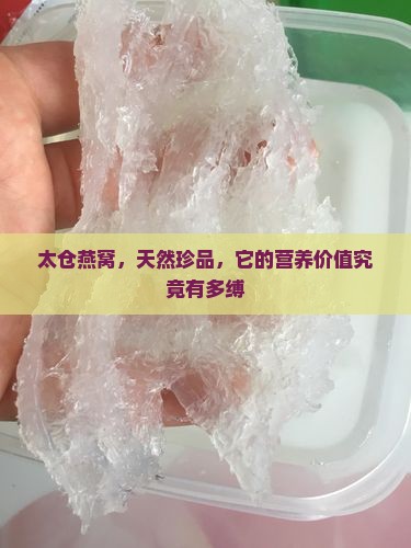 太仓燕窝，天然珍品，它的营养价值究竟有多缚