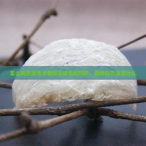 怎么挑燕窝毛才看得见绒毛和好的，最快的方法是什么