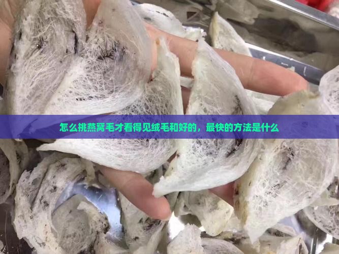 怎么挑燕窝毛才看得见绒毛和好的，最快的方法是什么