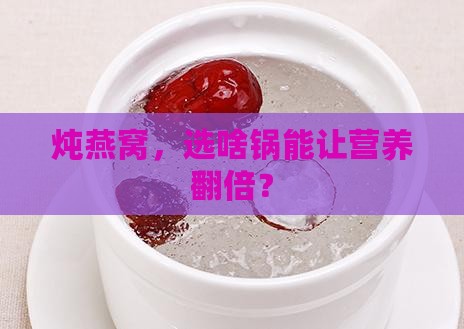 炖燕窝，选啥锅能让营养翻倍？