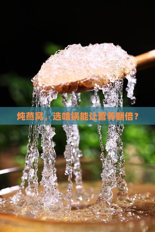 炖燕窝，选啥锅能让营养翻倍？