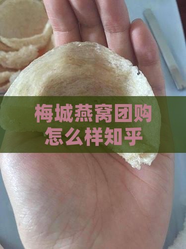 梅城燕窝团购怎么样知乎