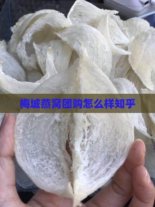 梅城燕窝团购怎么样知乎