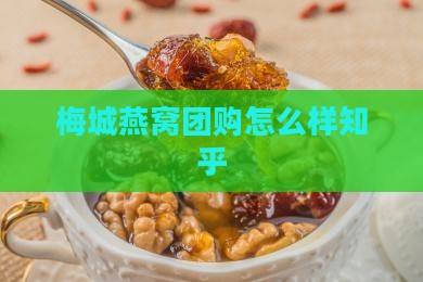 梅城燕窝团购怎么样知乎