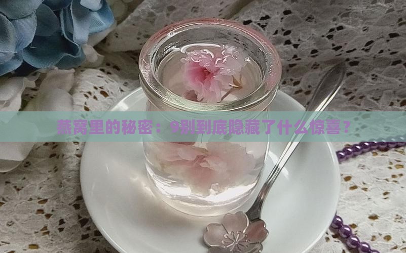 燕窝里的秘密：9别到底隐藏了什么惊喜？