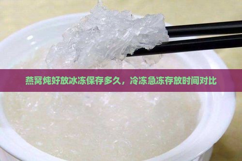 燕窝炖好放冰冻保存多久，冷冻急冻存放时间对比