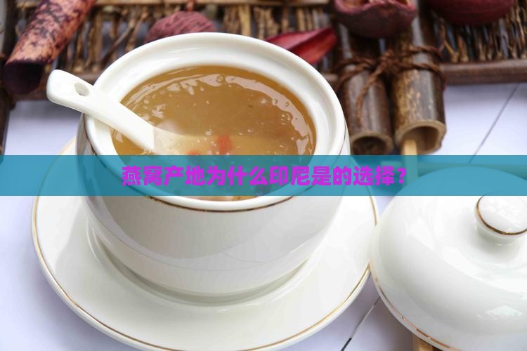 燕窝产地为什么印尼是的选择？