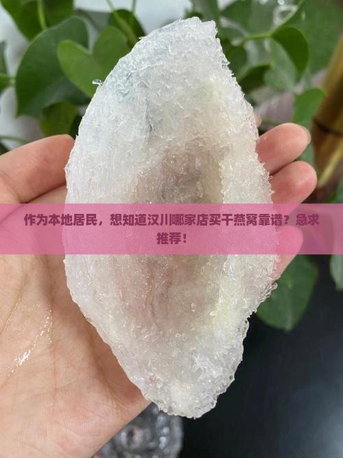 作为本地居民，想知道汉川哪家店买干燕窝靠谱？急求推荐！