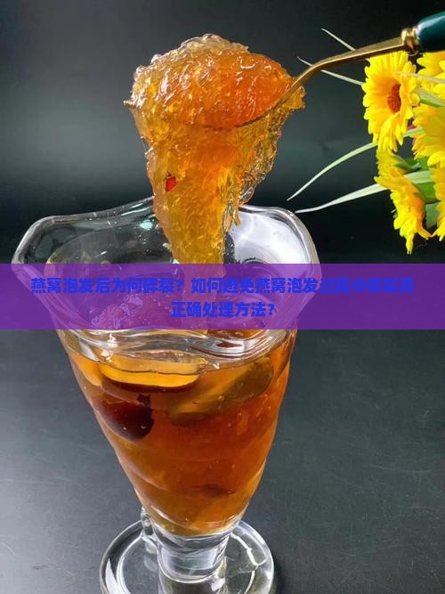 燕窝泡发后为何碎裂？如何避免燕窝泡发过程中碎裂及正确处理方法？