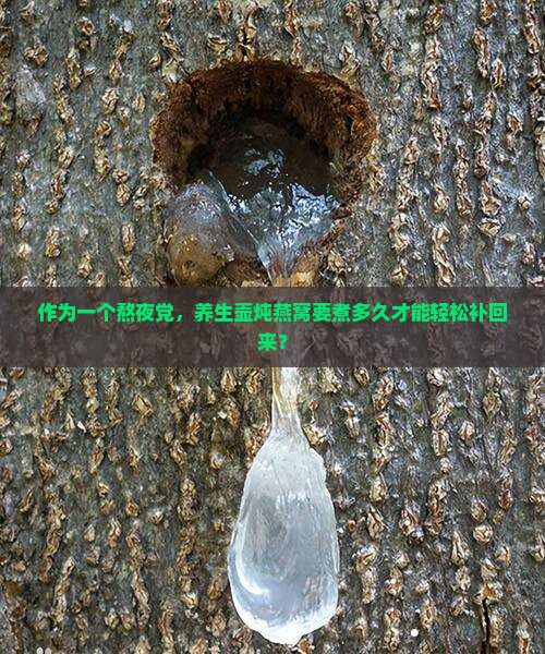 作为一个熬夜党，养生壶炖燕窝要煮多久才能轻松补回来？