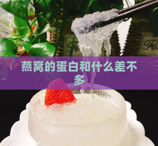 燕窝的蛋白和什么差不多