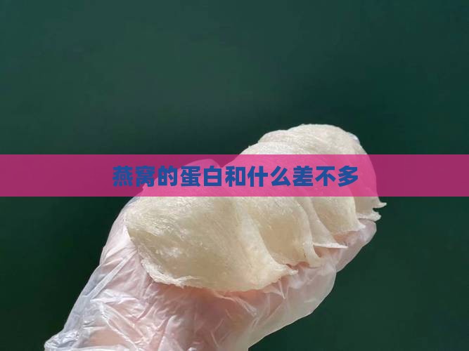 燕窝的蛋白和什么差不多