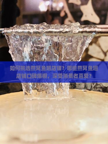 如何挑选燕窝鱼翅店铺？哪些燕窝鱼翅店铺口碑爆棚，深受消费者喜爱？