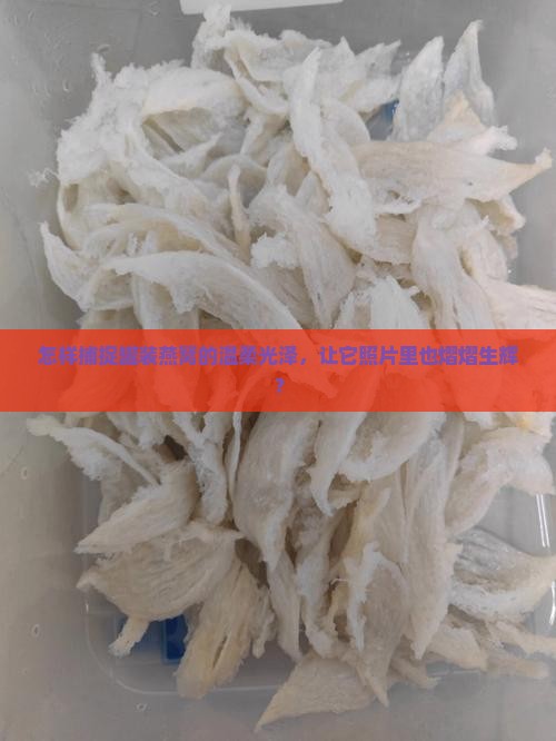怎样捕捉罐装燕窝的温柔光泽，让它照片里也熠熠生辉？