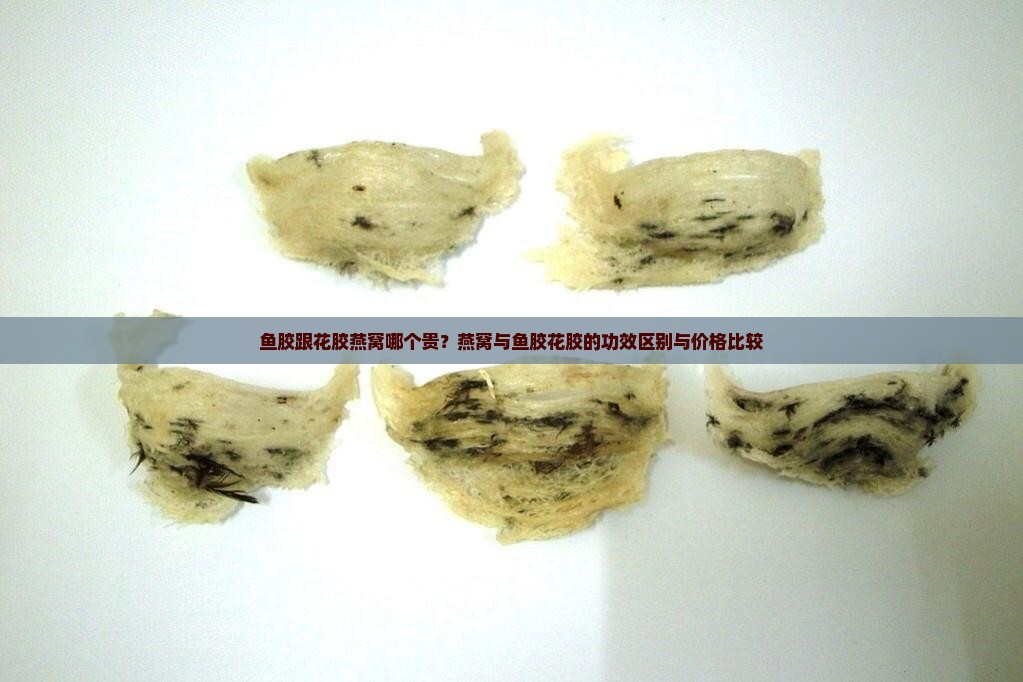鱼胶跟花胶燕窝哪个贵？燕窝与鱼胶花胶的功效区别与价格比较