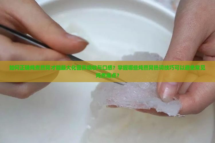 如何正确炖煮燕窝才能最大化营养吸收与口感？掌握哪些炖燕窝热词技巧可以避免常见炖煮痛点？