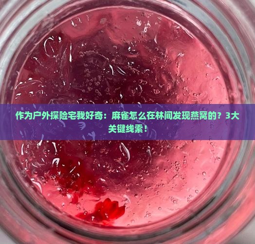 作为户外探险宅我好奇：麻雀怎么在林间发现燕窝的？3大关键线索！