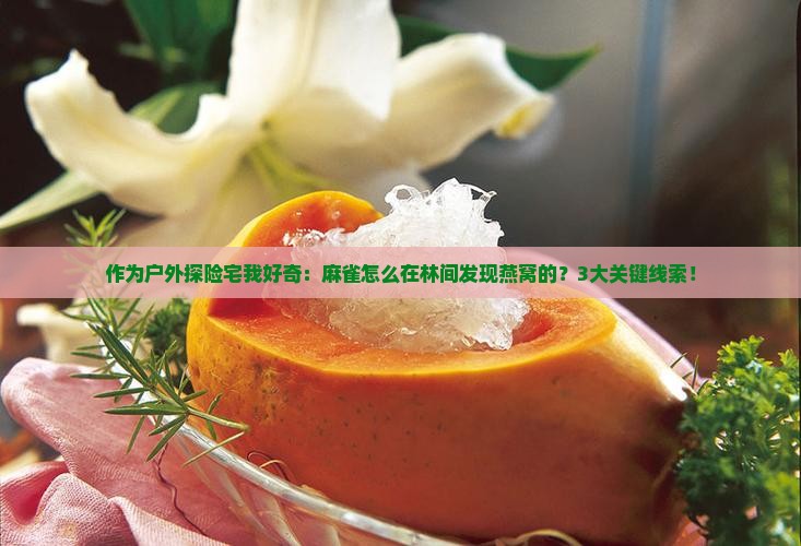 作为户外探险宅我好奇：麻雀怎么在林间发现燕窝的？3大关键线索！