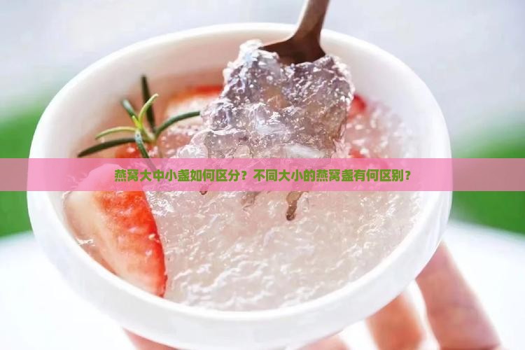 燕窝大中小盏如何区分？不同大小的燕窝盏有何区别？