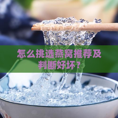 怎么挑选燕窝推荐及判断好坏？