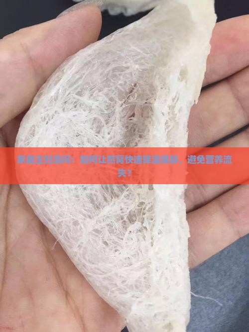 家庭主妇急问：如何让燕窝快速降温保鲜，避免营养流失？