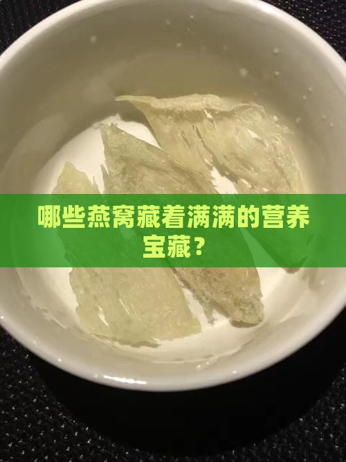 哪些燕窝藏着满满的营养宝藏？