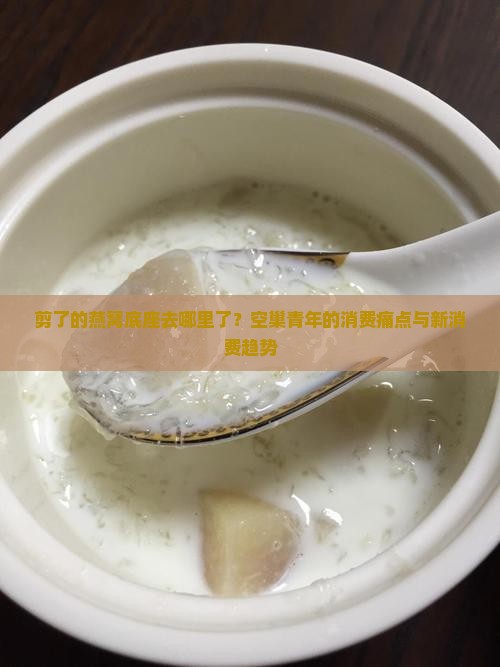 剪了的燕窝底座去哪里了？空巢青年的消费痛点与新消费趋势