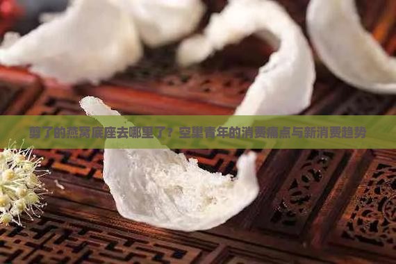 剪了的燕窝底座去哪里了？空巢青年的消费痛点与新消费趋势