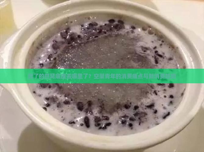 剪了的燕窝底座去哪里了？空巢青年的消费痛点与新消费趋势
