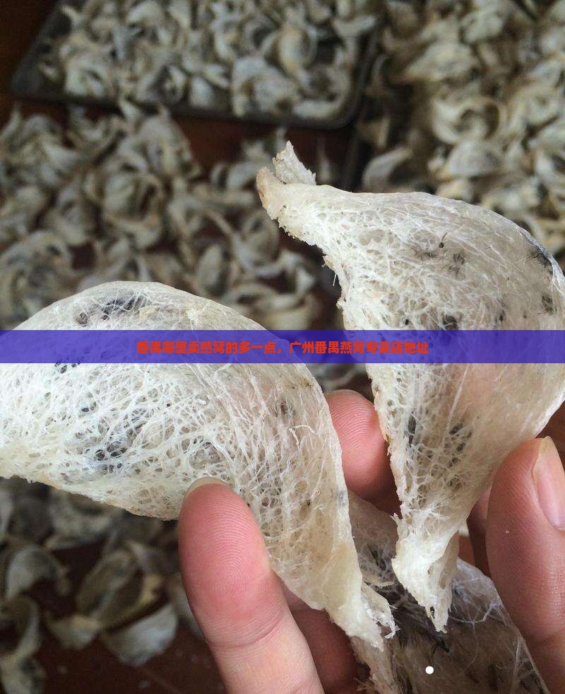 番禺哪里卖燕窝的多一点，广州番禺燕窝专卖店地址