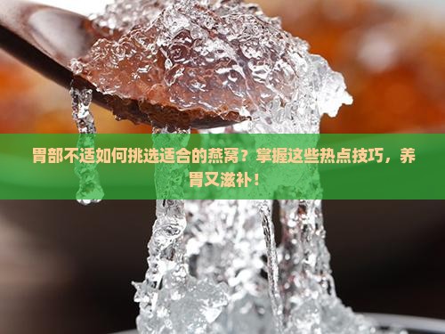 胃部不适如何挑选适合的燕窝？掌握这些热点技巧，养胃又滋补！