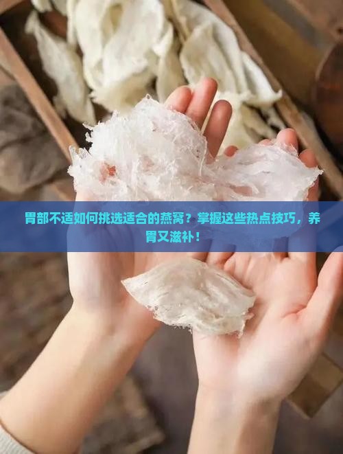 胃部不适如何挑选适合的燕窝？掌握这些热点技巧，养胃又滋补！