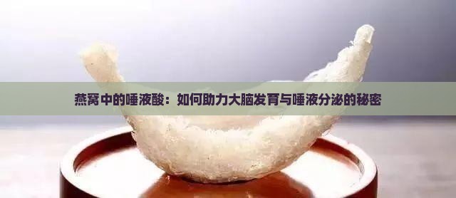 燕窝中的唾液酸：如何助力大脑发育与唾液分泌的秘密