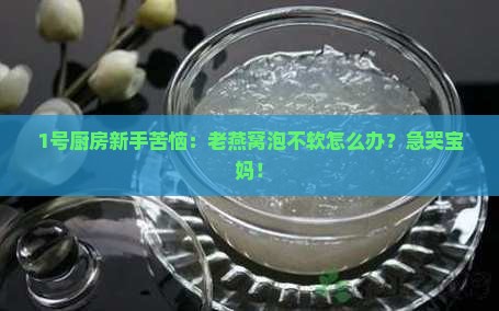 1号厨房新手苦恼：老燕窝泡不软怎么办？急哭宝妈！