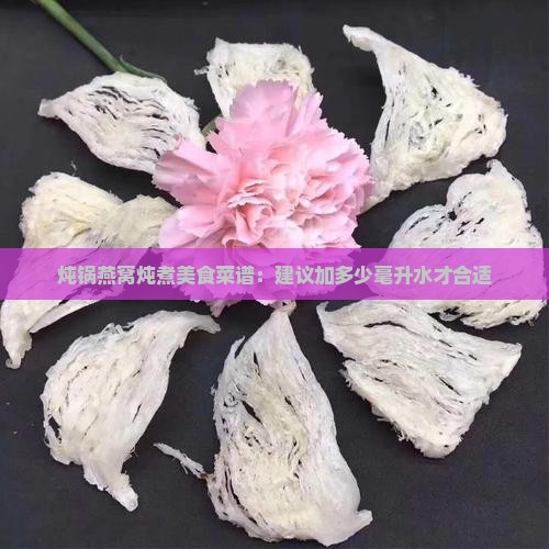 炖锅燕窝炖煮美食菜谱：建议加多少毫升水才合适