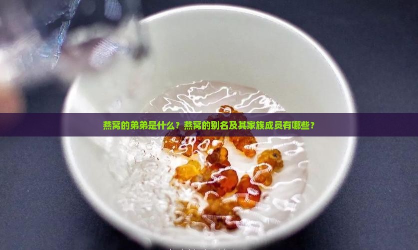 燕窝的弟弟是什么？燕窝的别名及其家族成员有哪些？