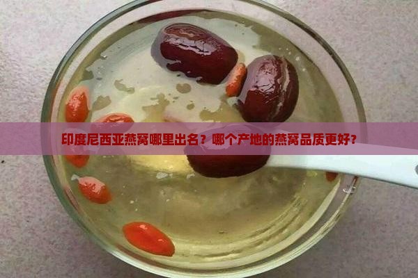 印度尼西亚燕窝哪里出名？哪个产地的燕窝品质更好？