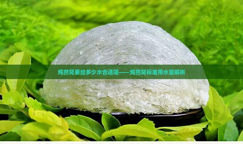 炖燕窝要给多少水合适呢——炖燕窝标准用水量解析