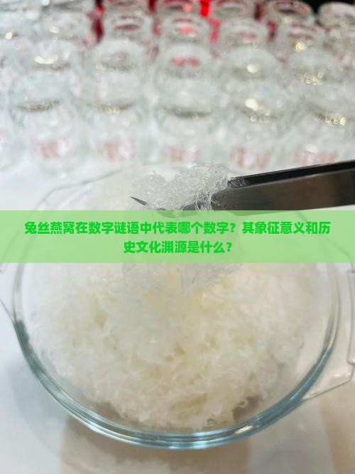 兔丝燕窝在数字谜语中代表哪个数字？其象征意义和历史文化渊源是什么？